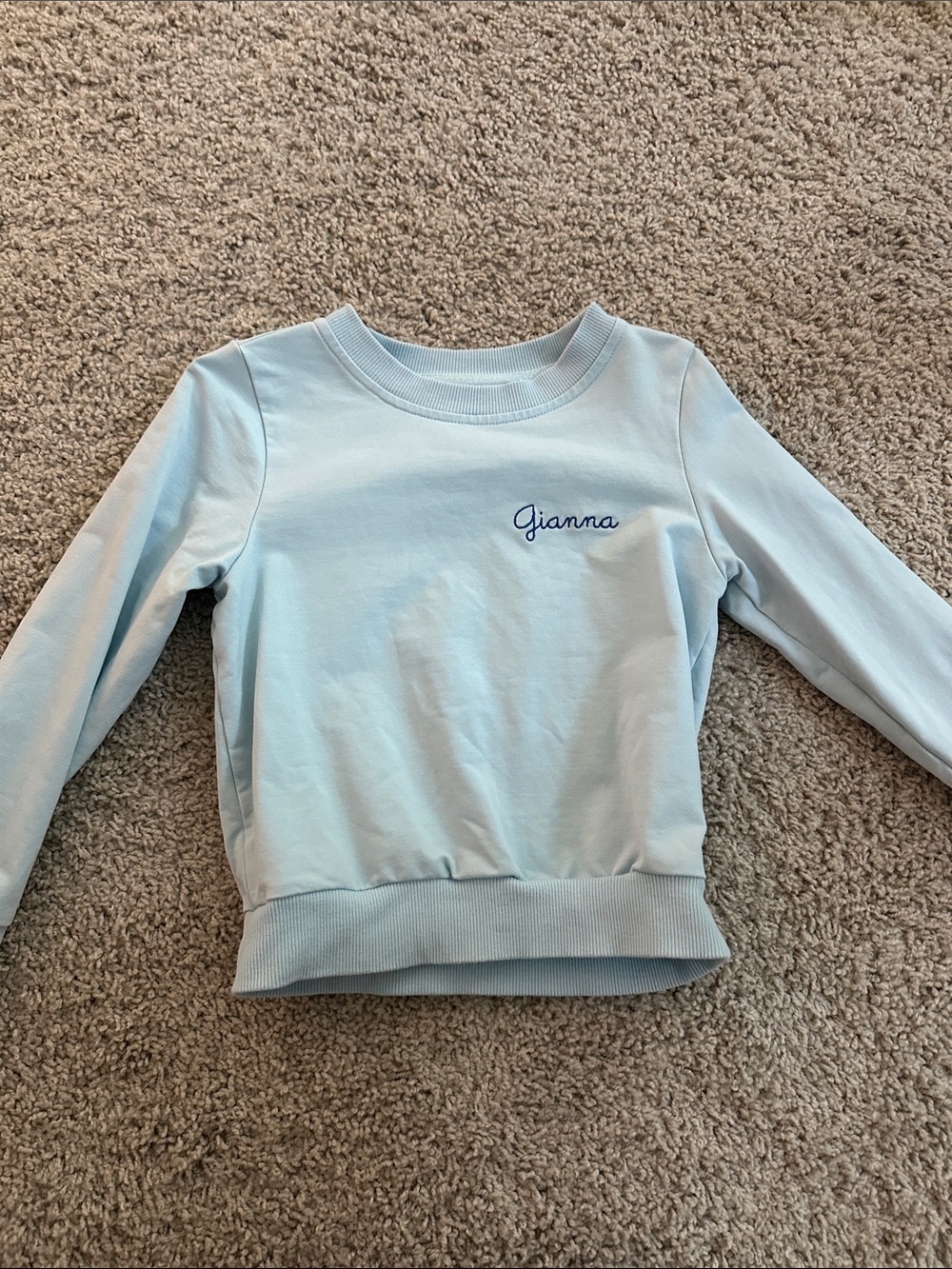 Smockingbird Light Blue Girls' Pullover Crewneck Sweatshirt w Gianna embroidery